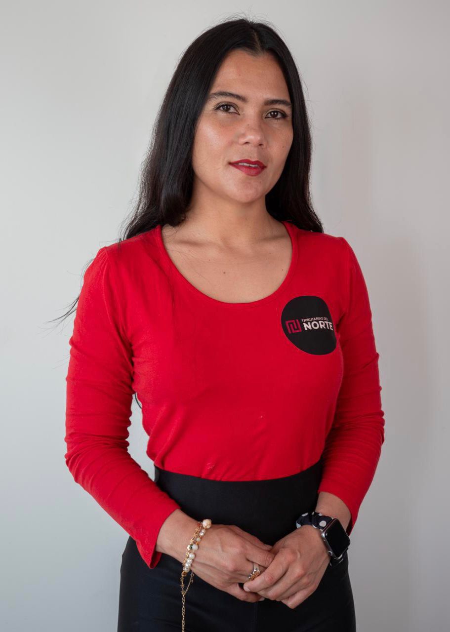 Profesional Tributario